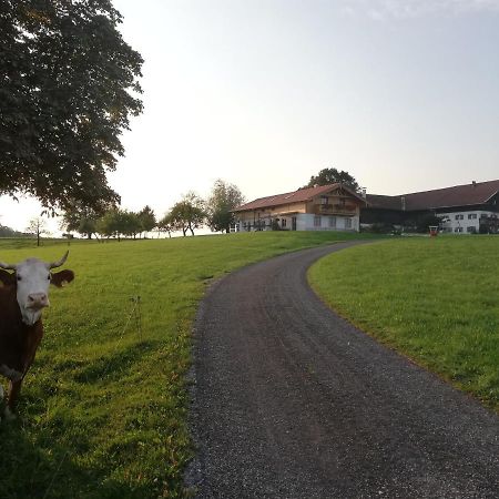 Sonnenhub Appartement Irschenberg Buitenkant foto